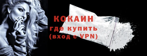 прущие грибы Наволоки