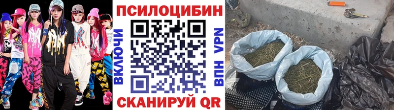 купить   Красноуфимск  hydra tor  Галлюциногенные грибы мухоморы 