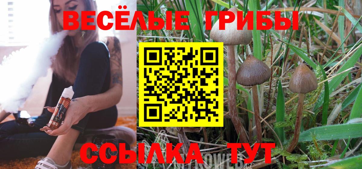 Красноуфимск  Псилоцибиновые грибы мицелий  Вход с VPN 